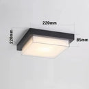 Luminaire Exterieur Plafonnier - Blanc froid (6000–6500K) / 220 × 220 × 85 mm (24W) - plafonnier